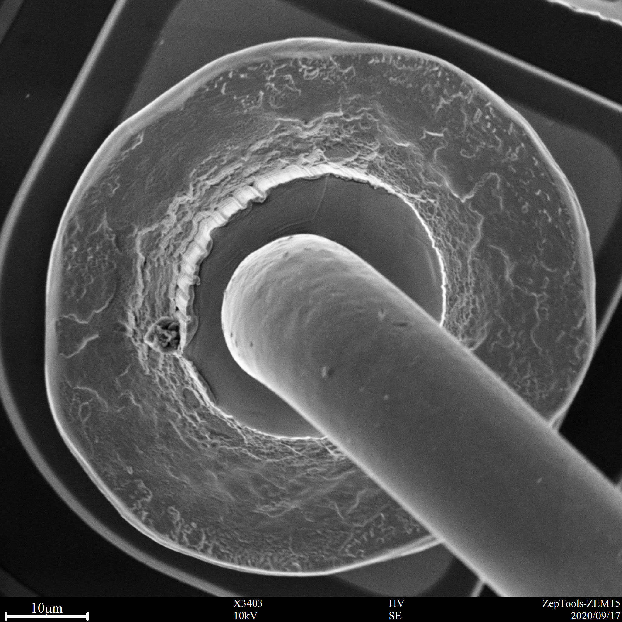 臺式掃描電鏡下半導(dǎo)體焊點(會議現(xiàn)場拍攝) 臺式掃描電鏡下半導(dǎo)體焊點(會議現(xiàn)場拍攝)