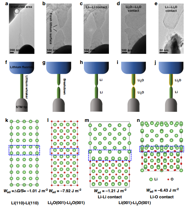 原位TEM電學樣品桿觀測鋰支晶形成、拉斷過程