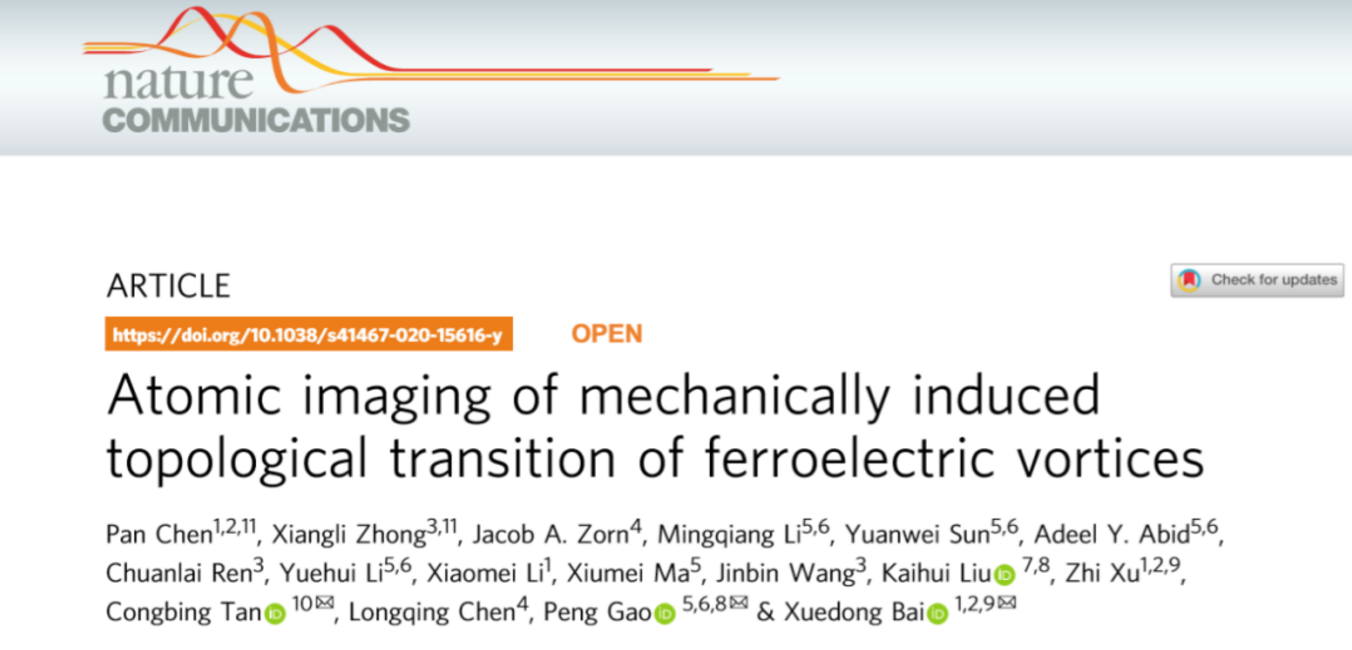原位TEM研究實(shí)驗(yàn)方法作者 原位TEM研究實(shí)驗(yàn)方法作者
