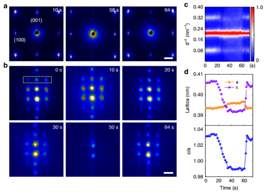 Nature Commun.:物理所揭示原子分辨下的鐵電渦旋疇的原位力學(xué)轉(zhuǎn)變過(guò)程(圖5) 原位TEM研究實(shí)驗(yàn)方法圖5:渦旋疇力學(xué)轉(zhuǎn)變過(guò)程中的結(jié)構(gòu)變化