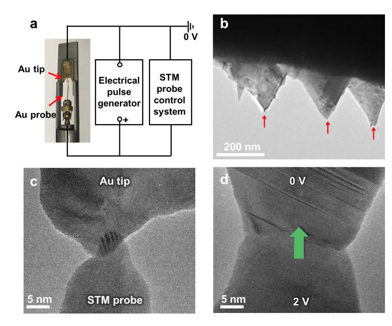 透射電鏡中原位電脈沖實驗裝置的搭建 透射電鏡中原位電脈沖實驗裝置的搭建