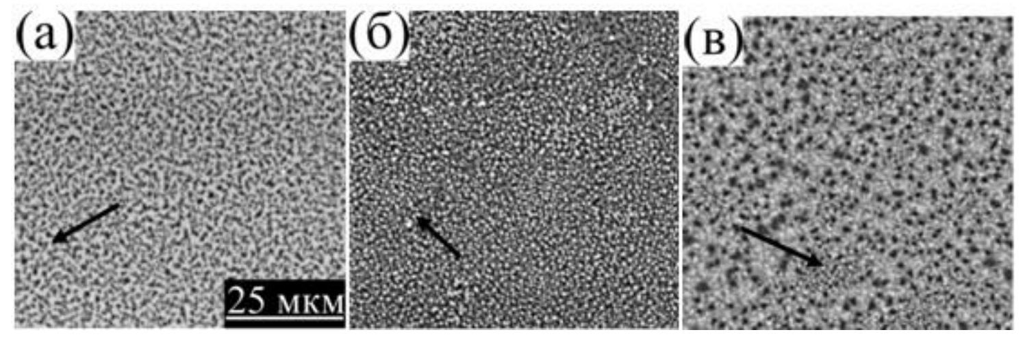 不同能量密度下脈沖激光處理對(duì)樣品表面形態(tài)影響的掃描電鏡圖像 不同能量密度下脈沖激光處理對(duì)樣品表面形態(tài)影響的掃描電鏡圖像