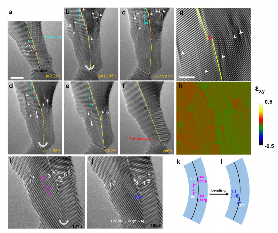 澤攸TEM原位樣品桿 澤攸TEM原位樣品桿