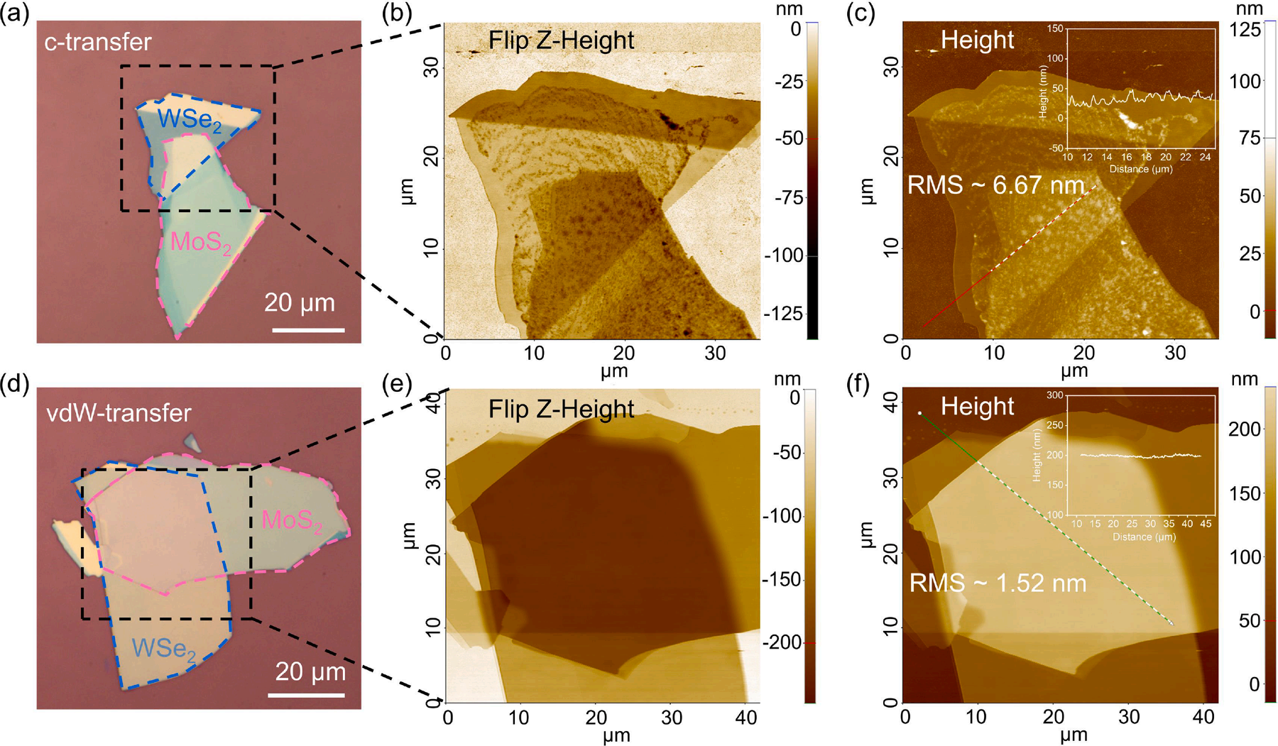 光學(xué)顯微鏡 光學(xué)顯微鏡