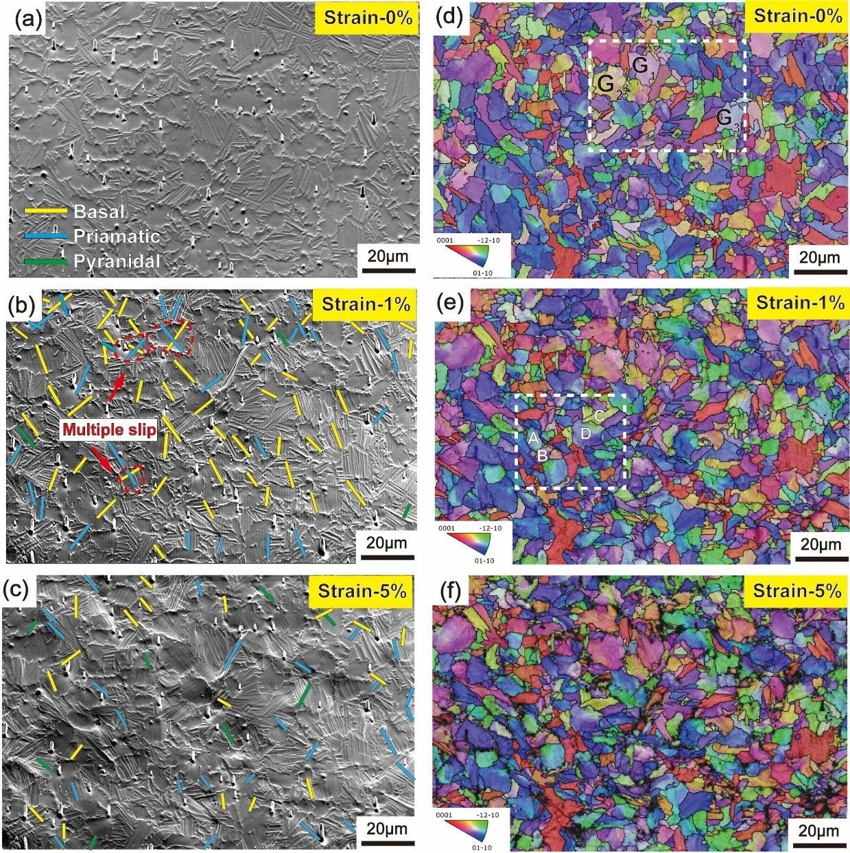 澤攸科技原位SEM