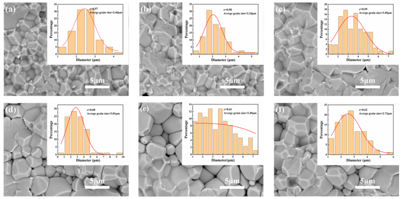 PIN-BS-xPT陶瓷斷口表面的SEM圖像