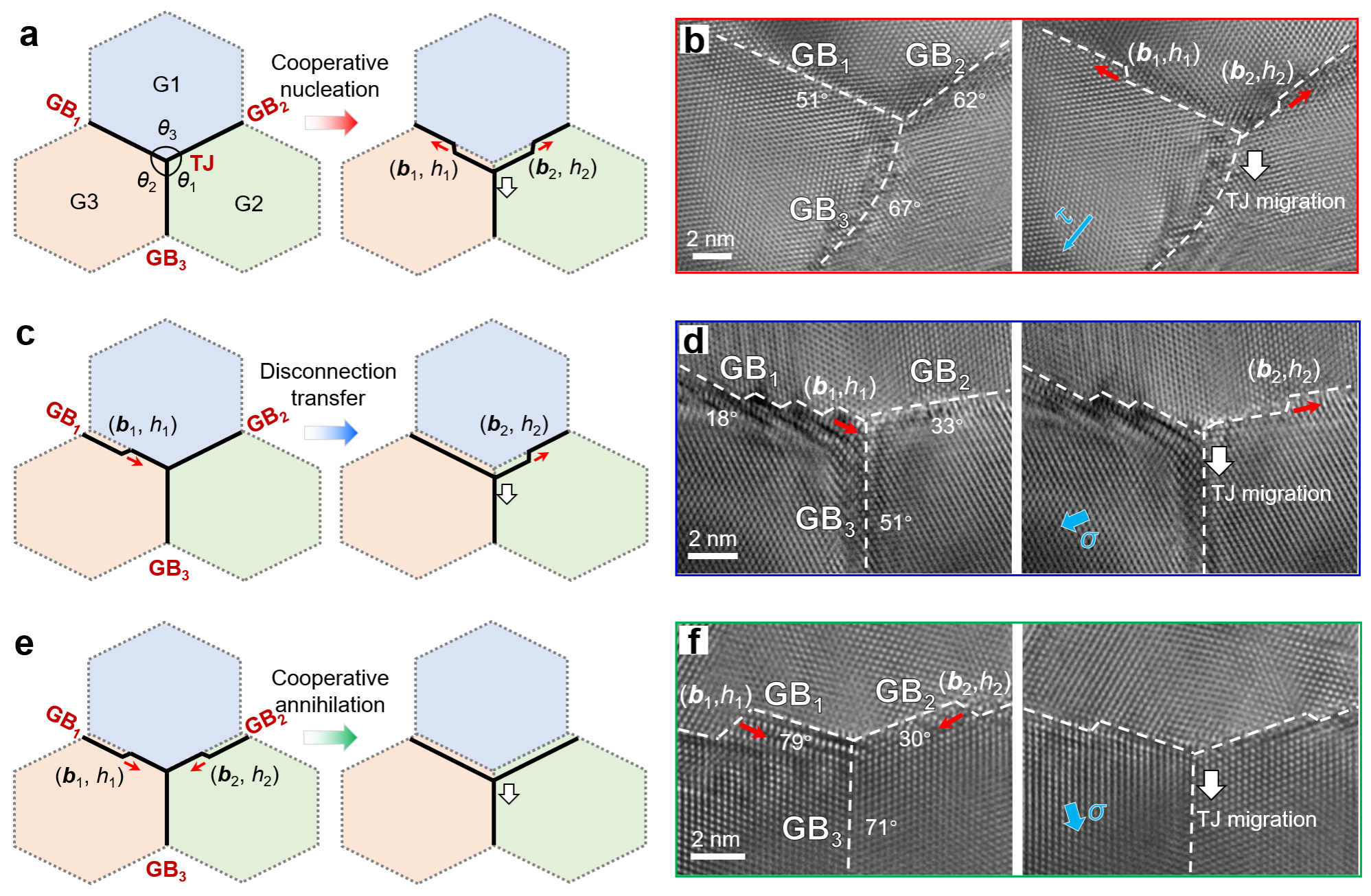 通過鄰近晶界的失配位錯動力學實現(xiàn)穩(wěn)態(tài)TJ遷移
