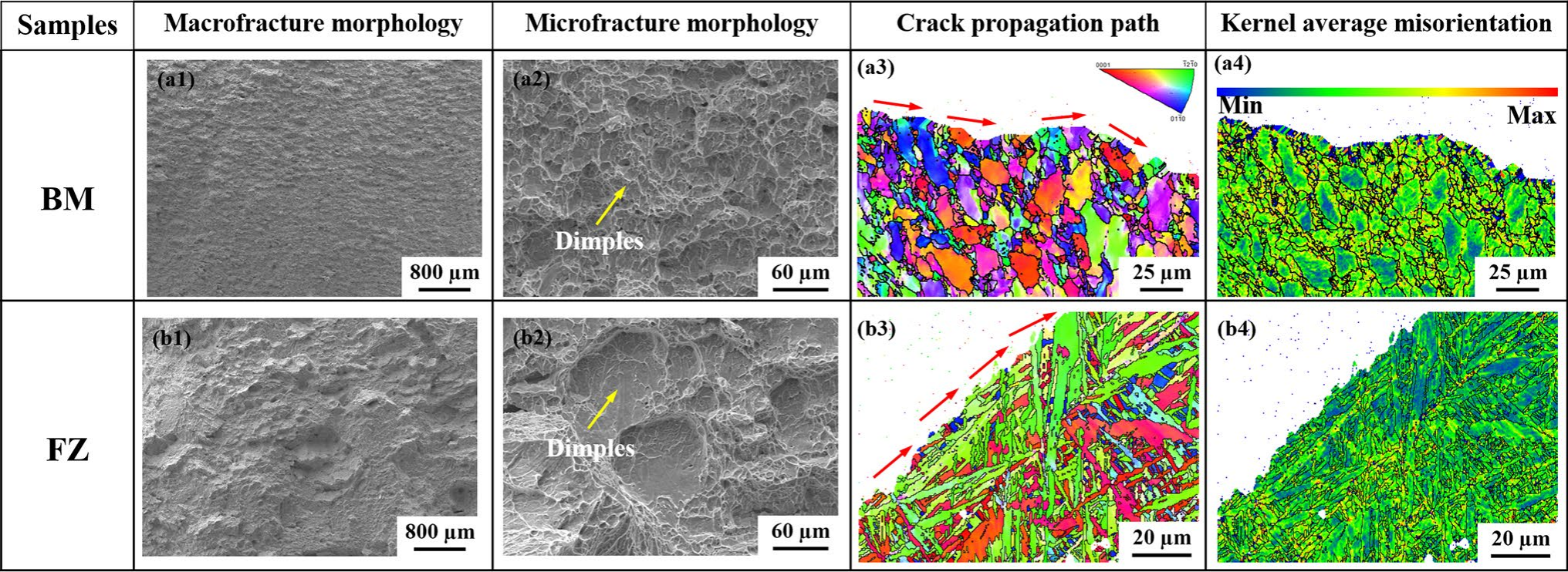 BM與FZ的斷口形貌及裂紋擴(kuò)展路徑分析