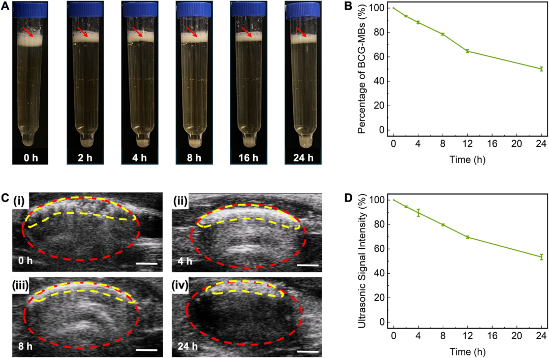臺(tái)式掃描電鏡 臺(tái)式掃描電鏡