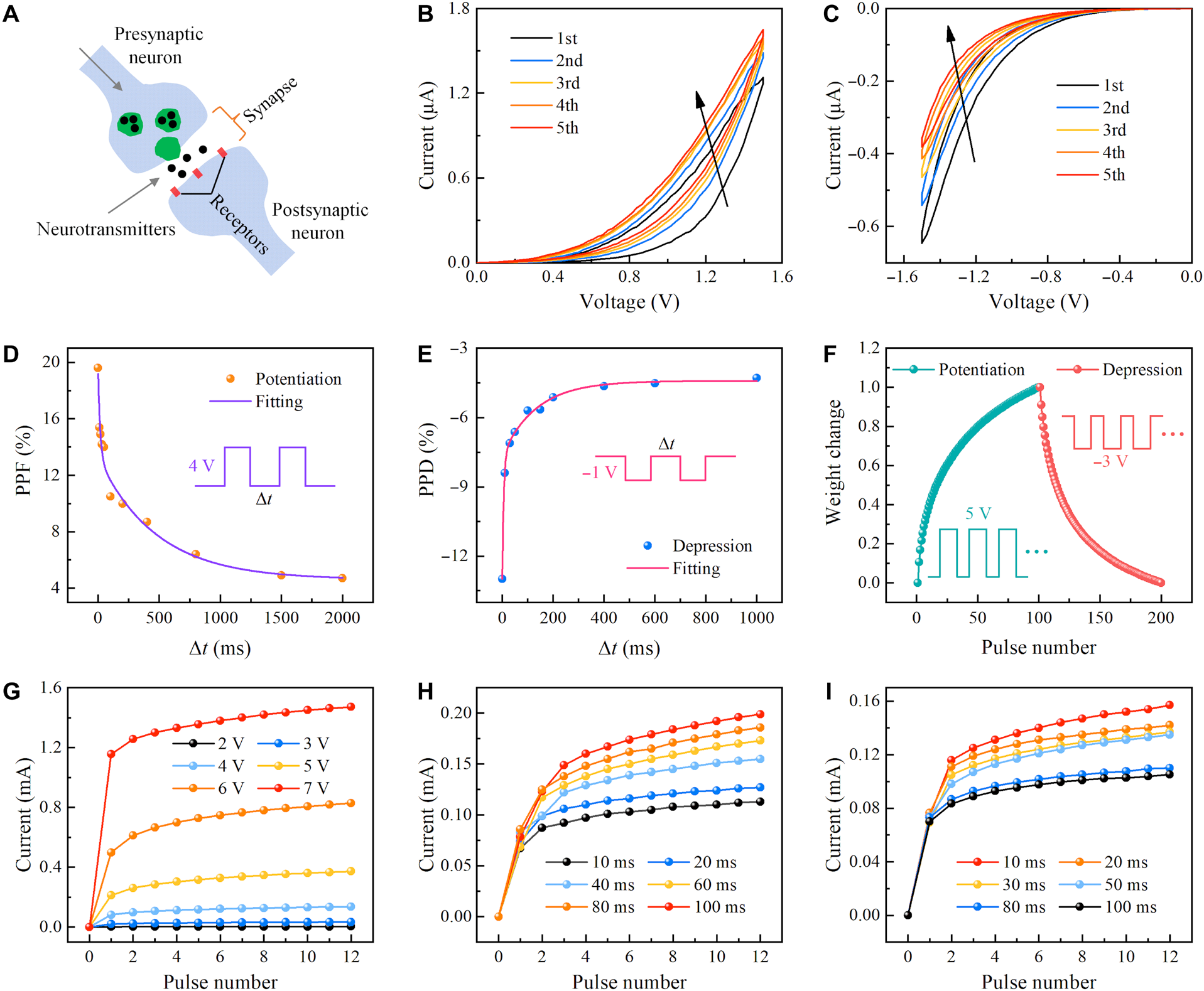 澤攸科技原位TEM