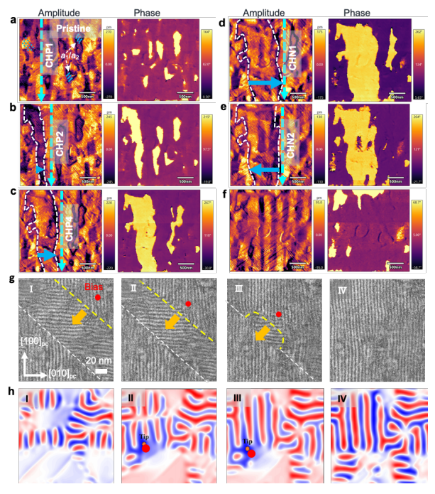 澤攸科技原位TEM