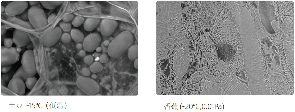 電子顯微鏡技術(shù)